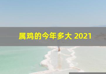 属鸡的今年多大 2021